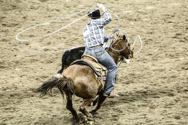 Illustration for article titled National Western Stock Show